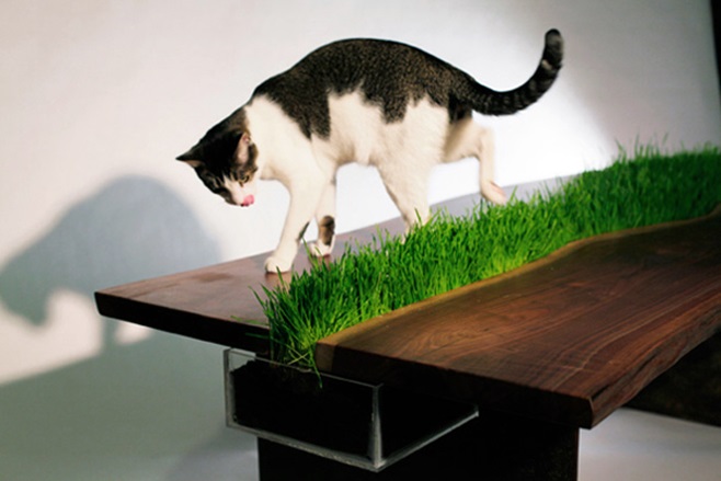 planter table 1