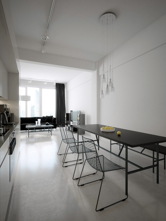 Modern minimalist black and white lofts 1