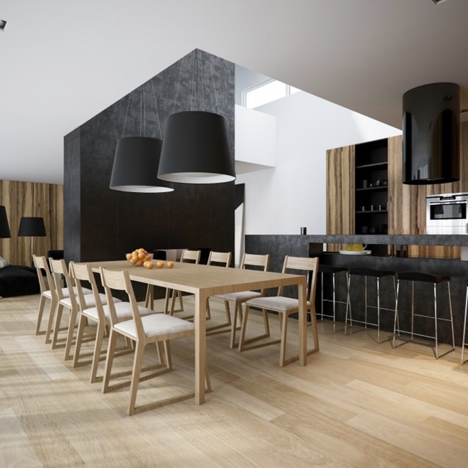 Modern minimalist black and white lofts 10
