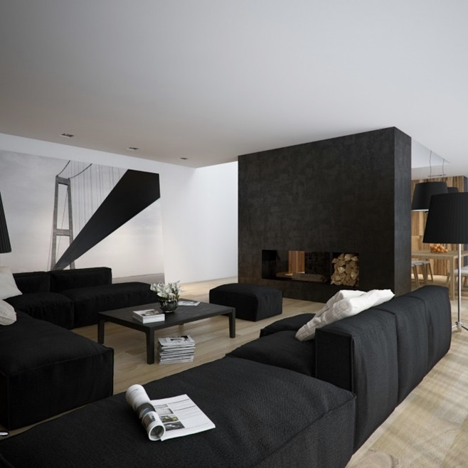 Modern minimalist black and white lofts 17