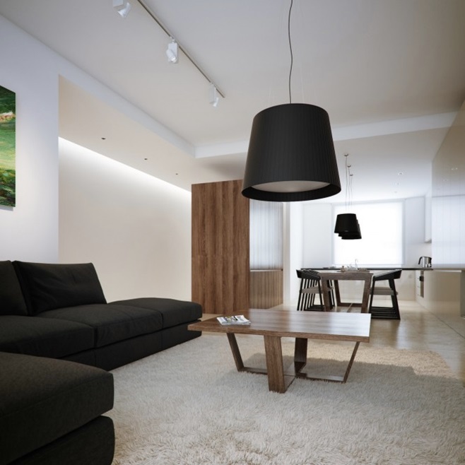 Modern minimalist black and white lofts 19