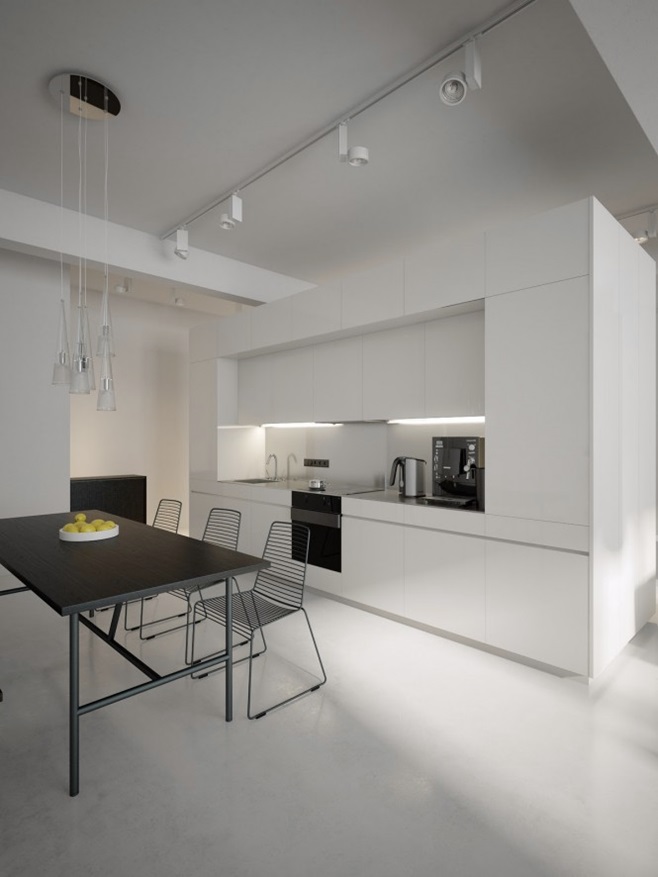 Modern minimalist black and white lofts 2