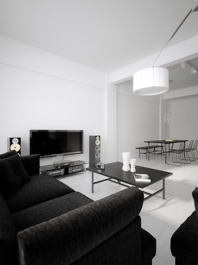 Modern minimalist black and white lofts 5