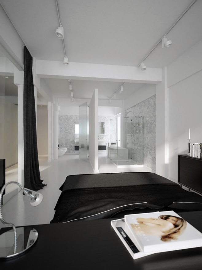 Modern minimalist black and white lofts 7