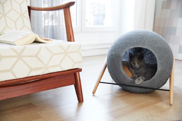Cat Beds and Cocoons 1