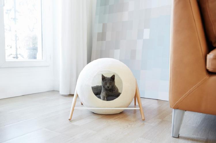 Cat Beds and Cocoons 7