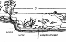 Порядок возведения пруда из бетона